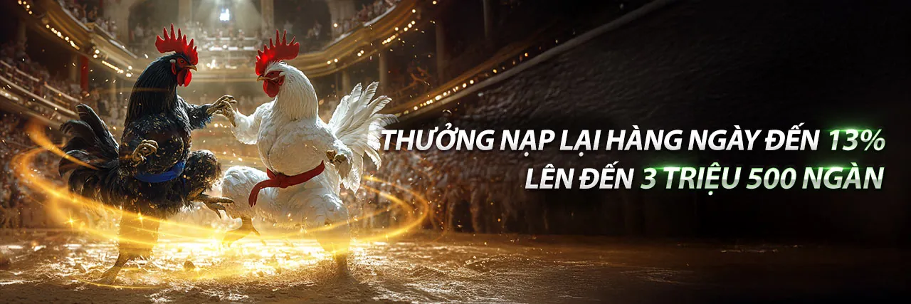 Đá Gà Trực Tuyến GA678