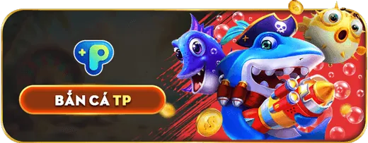 Tổng quan về các điều khoản và quy định của GA678